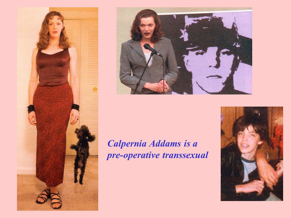 Calpernia Addams is a pre-operative transsexual