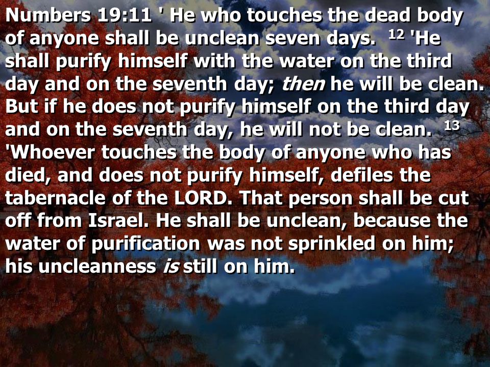 Numbers 19:11 He who touches the dead body of anyone shall be unclean seven days.