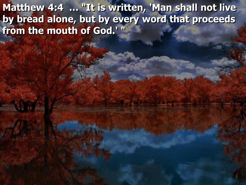Matthew 4:4 … It is written, Man shall not live by bread alone, but by every word that proceeds from the mouth of God.