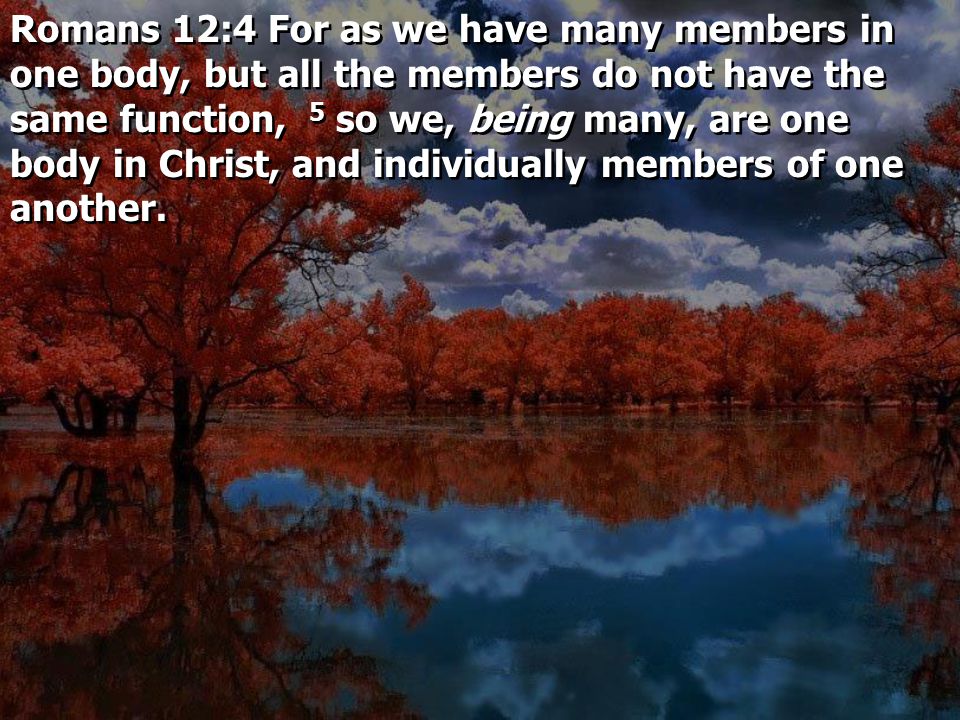 Romans 12:4 For as we have many members in one body, but all the members do not have the same function, 5 so we, being many, are one body in Christ, and individually members of one another.