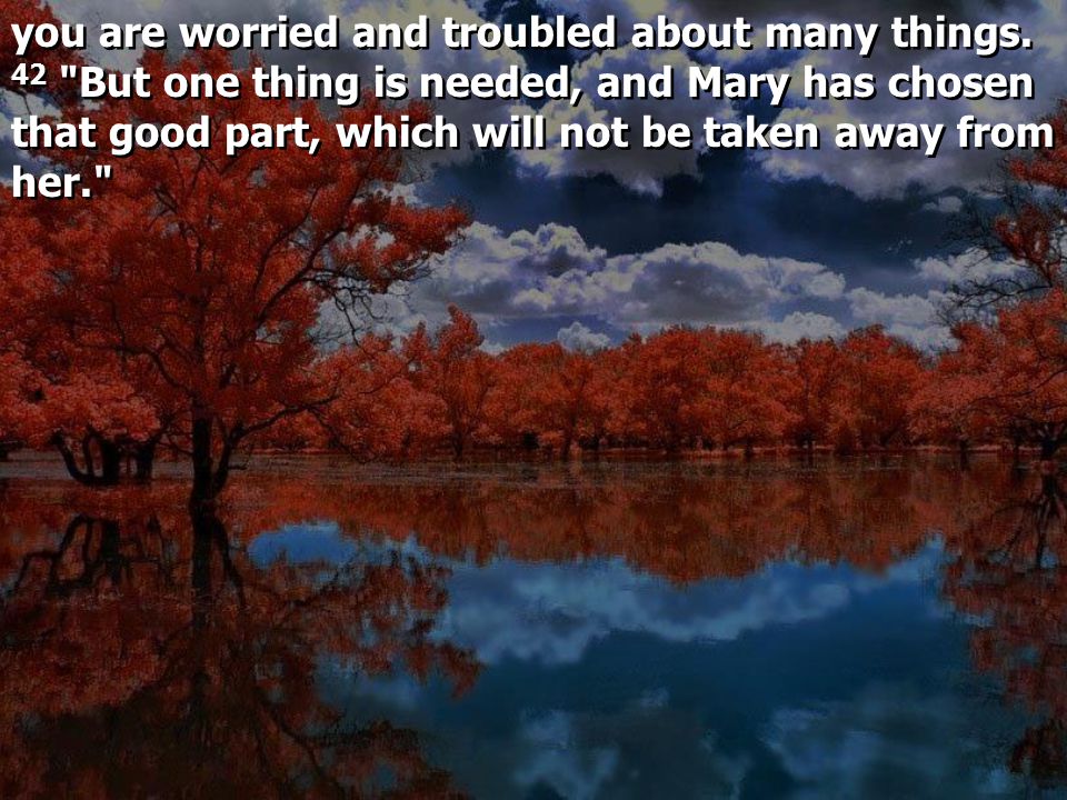 you are worried and troubled about many things.
