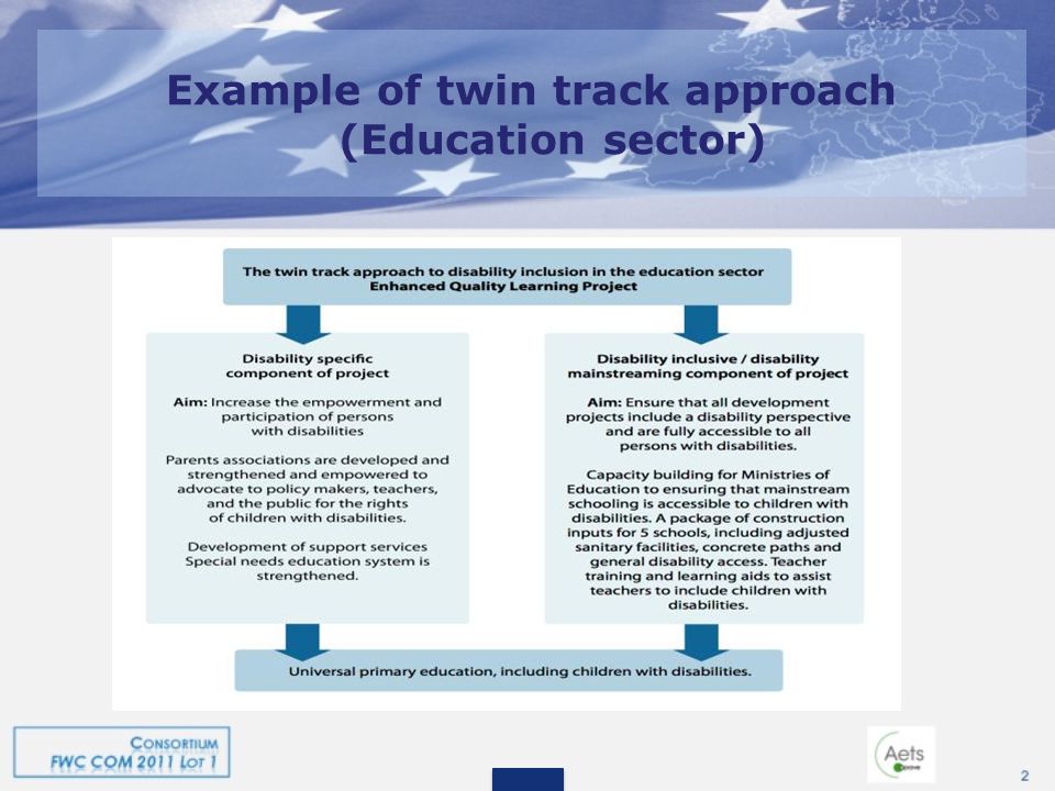 Example of twin track approach (Education sector)