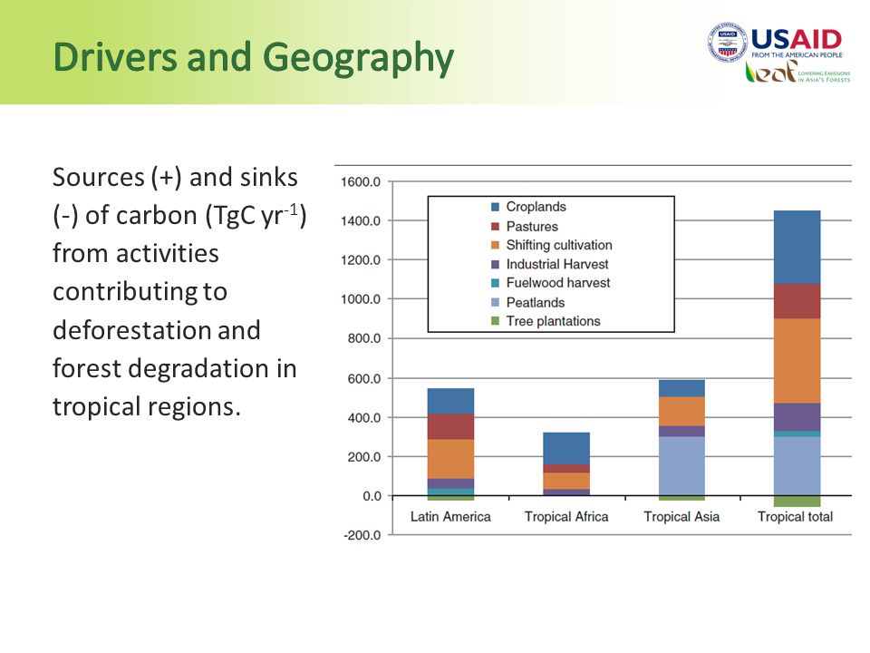Sources (+) and sinks (-) of carbon (TgC yr -1 ) from activities contributing to deforestation and forest degradation in tropical regions.