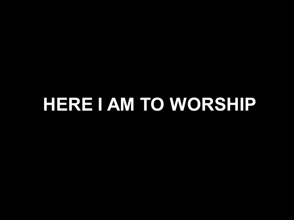 HERE I AM TO WORSHIP