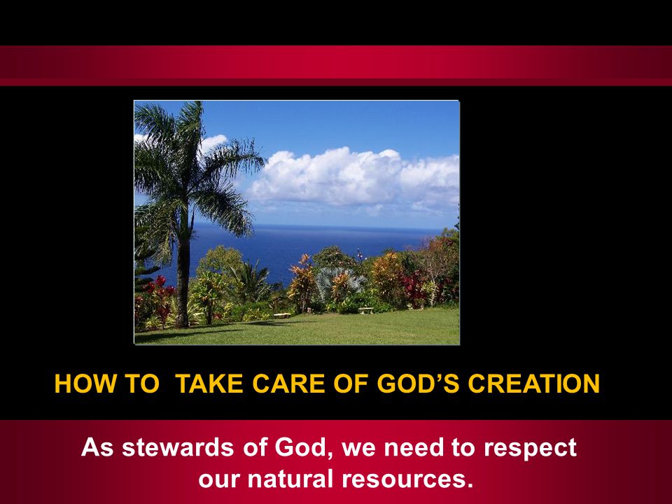 As stewards of God, we need to respect our natural resources. HOW TO TAKE CARE OF GOD’S CREATION