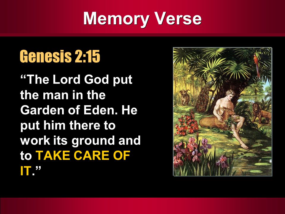 Memory Verse The Lord God put the man in the Garden of Eden.