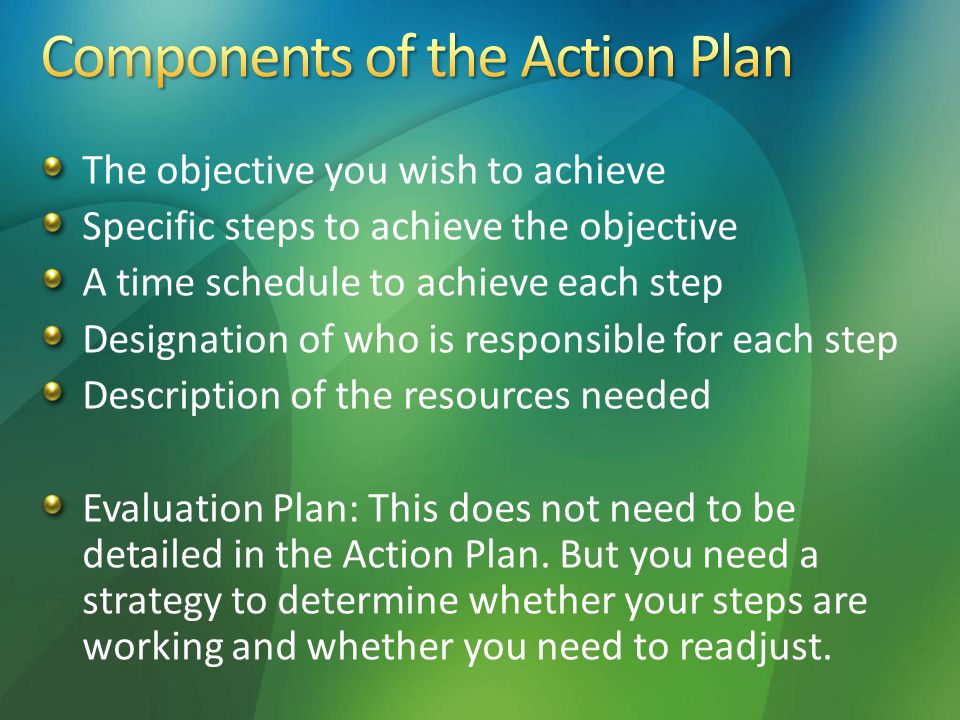 The objective you wish to achieve Specific steps to achieve the objective A time schedule to achieve each step Designation of who is responsible for each step Description of the resources needed Evaluation Plan: This does not need to be detailed in the Action Plan.