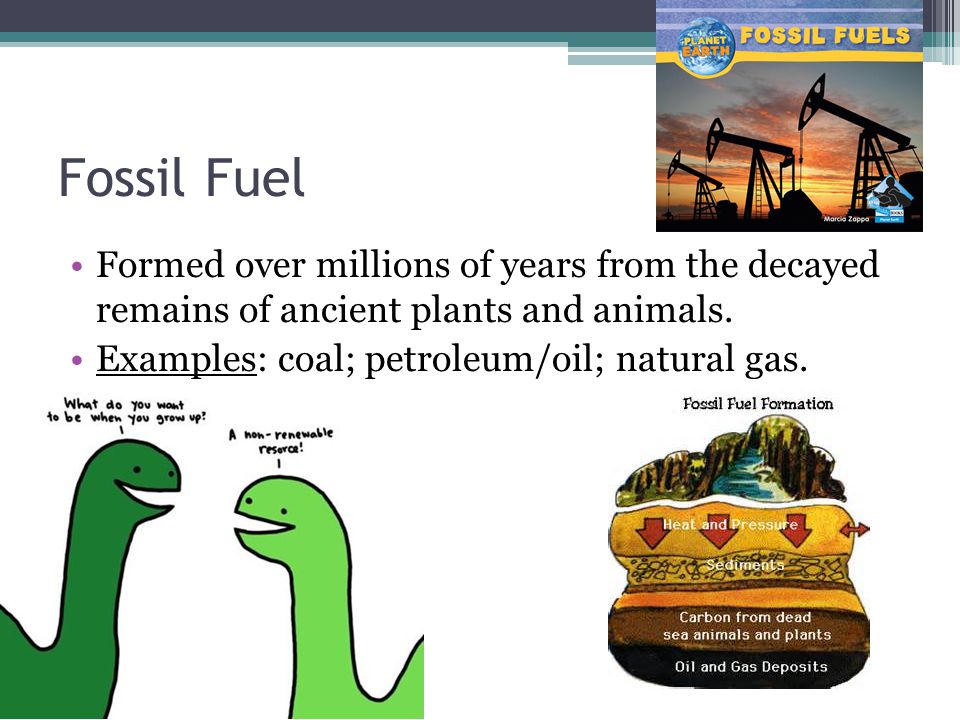 Fossil Fuel Formed over millions of years from the decayed remains of ancient plants and animals.