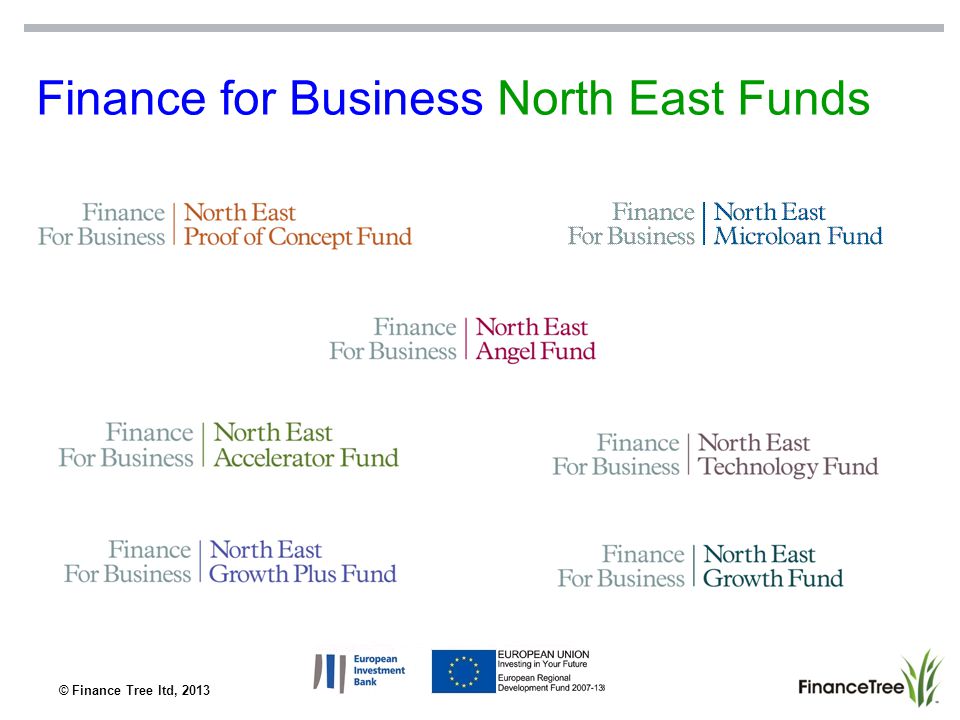 © Finance Tree ltd, 2013 Finance for Business North East Funds