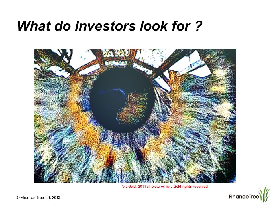 © Finance Tree ltd, 2013 What do investors look for .