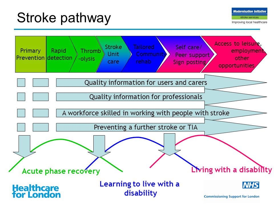 Stroke pathway Learning to live with a disability Living with a disability Quality information for users and carers Quality information for professionals A workforce skilled in working with people with stroke Acute phase recovery Access to leisure, employment, other opportunities Rapid detection Thromb -olysis Stroke Unit care Tailored Community rehab Self care/ Peer support Sign posting Primary Prevention Preventing a further stroke or TIA