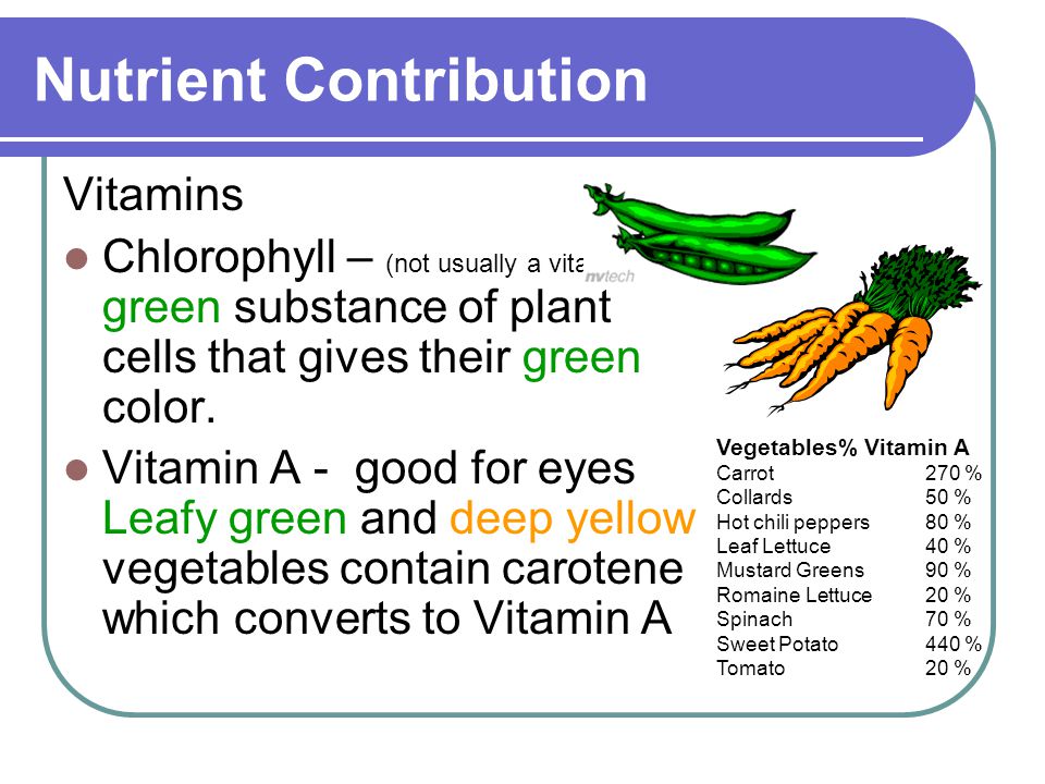 Nutrient Contribution Vitamins Chlorophyll – (not usually a vitamin) a green substance of plant cells that gives their green color.