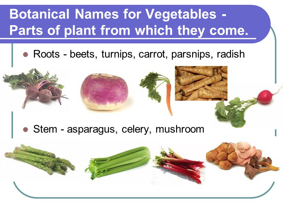 Botanical Names for Vegetables - Parts of plant from which they come.