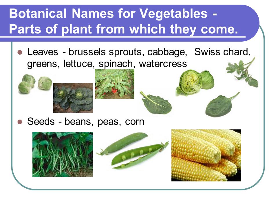 Botanical Names for Vegetables - Parts of plant from which they come.