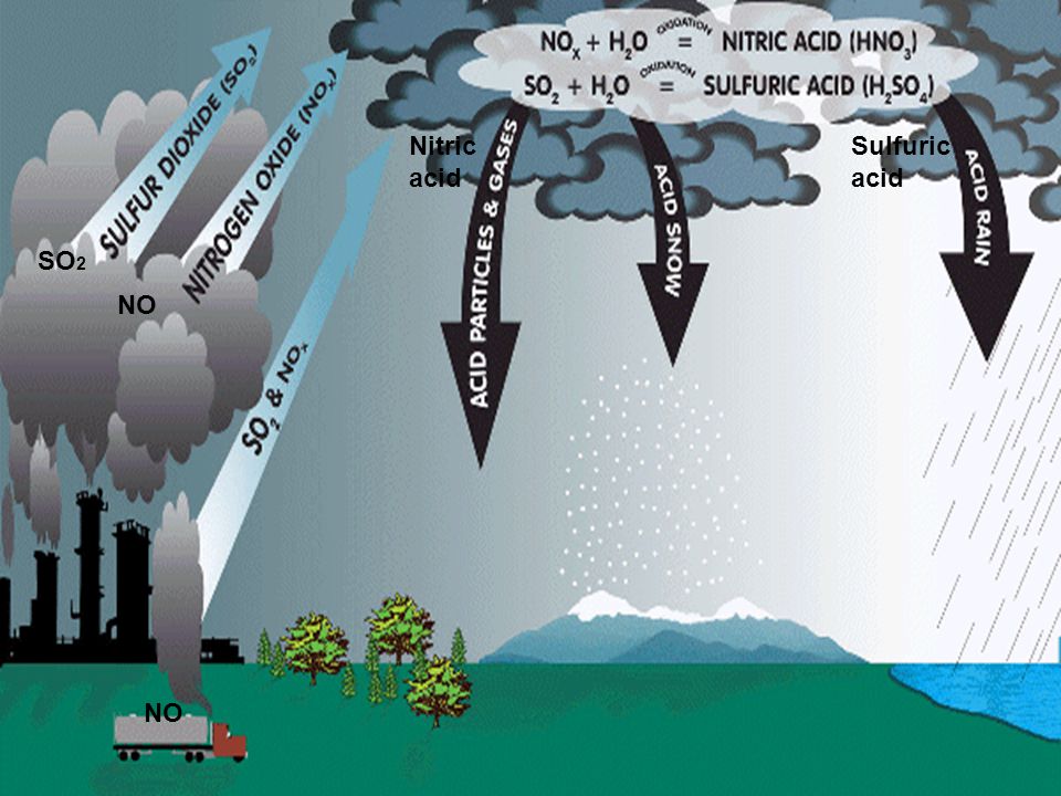Biomagnification Acid rain Pesticide runoff Fertilizer runoff Mercury