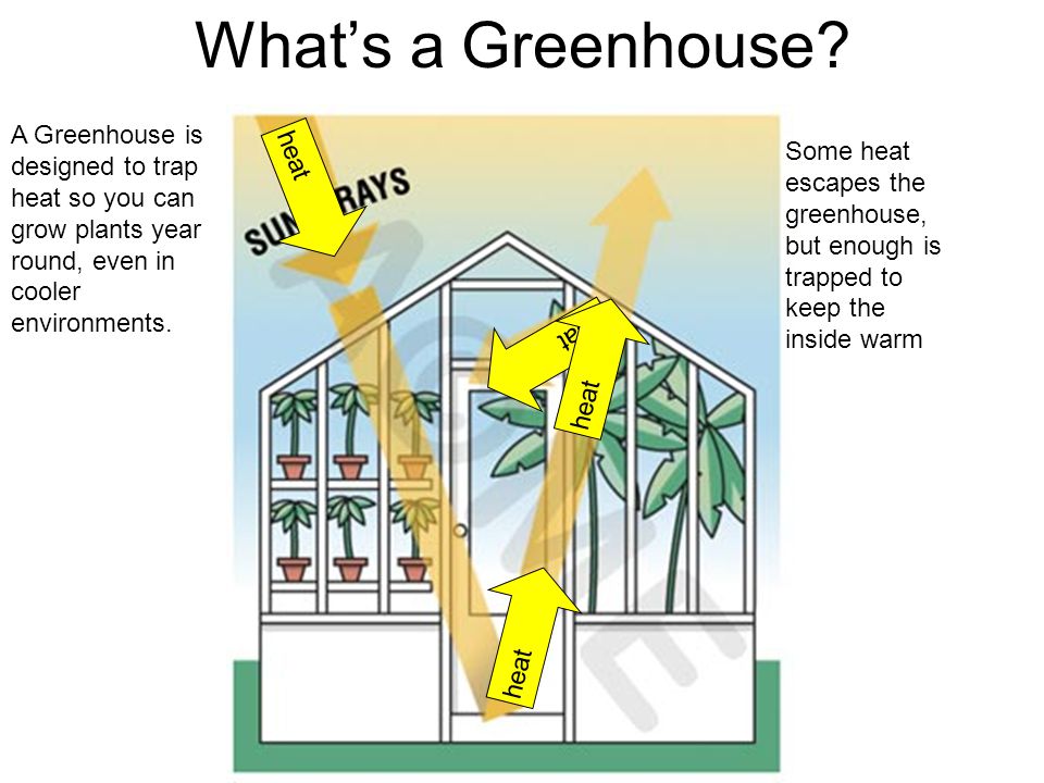 The Greenhouse Effect G.H.E.