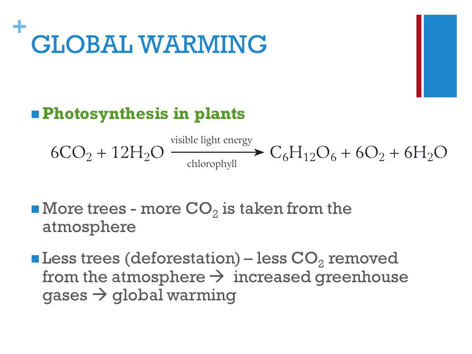 + GLOBAL WARMING Photosynthesis in plants More trees - more CO 2 is taken from the atmosphere Less trees (deforestation) – less CO 2 removed from the atmosphere  increased greenhouse gases  global warming