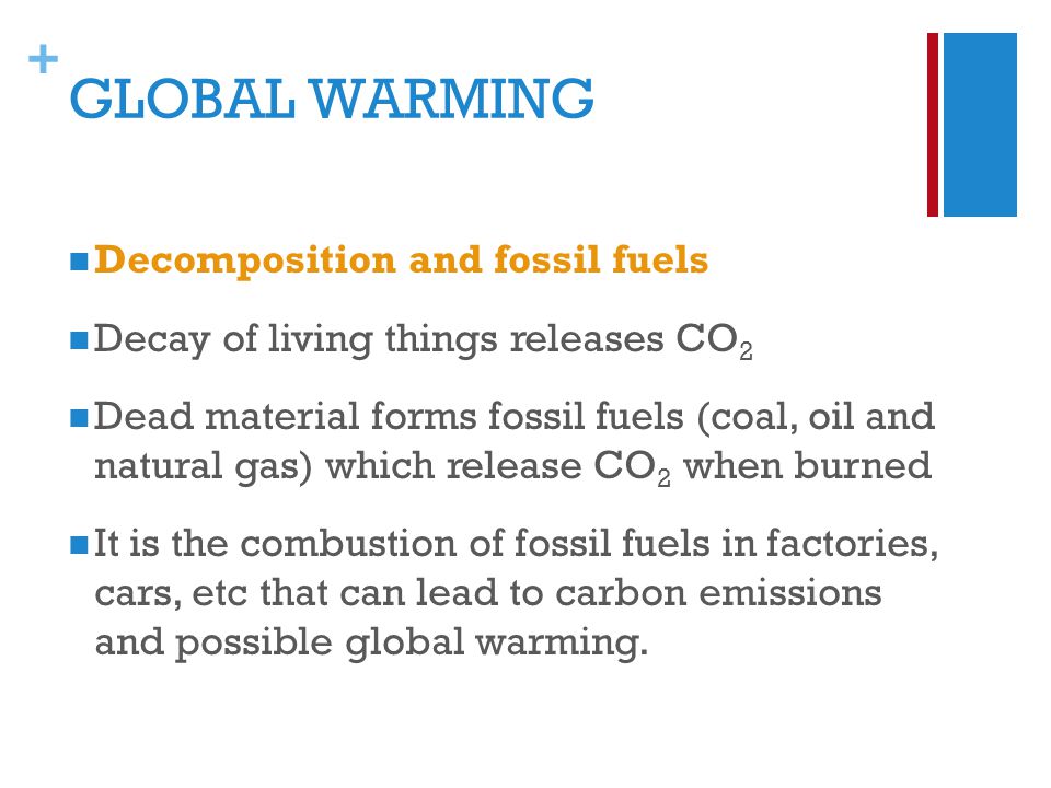+ GLOBAL WARMING Decomposition and fossil fuels Decay of living things releases CO 2 Dead material forms fossil fuels (coal, oil and natural gas) which release CO 2 when burned It is the combustion of fossil fuels in factories, cars, etc that can lead to carbon emissions and possible global warming.