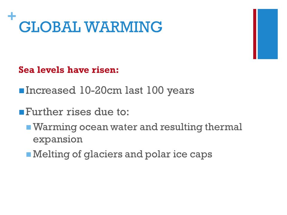 + GLOBAL WARMING Sea levels have risen: Increased 10-20cm last 100 years Further rises due to: Warming ocean water and resulting thermal expansion Melting of glaciers and polar ice caps