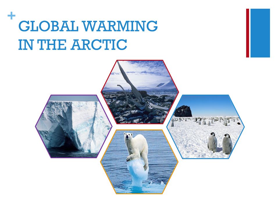 + GLOBAL WARMING IN THE ARCTIC