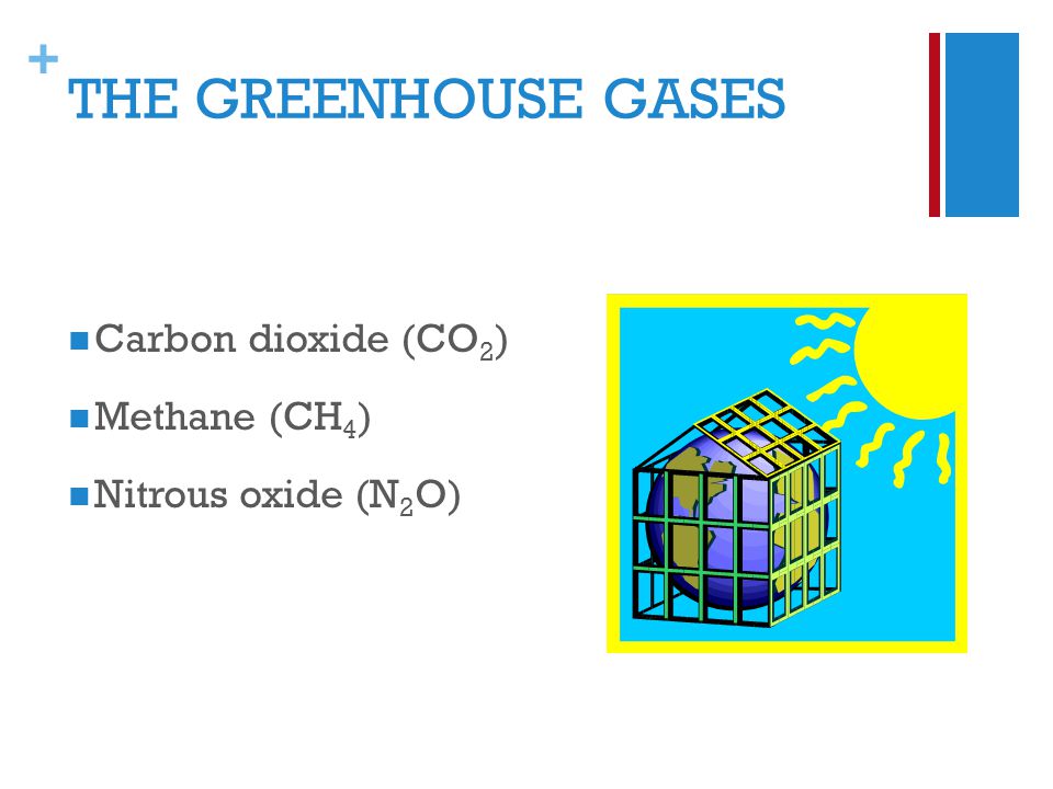+ THE GREENHOUSE GASES Carbon dioxide (CO 2 ) Methane (CH 4 ) Nitrous oxide (N 2 O)