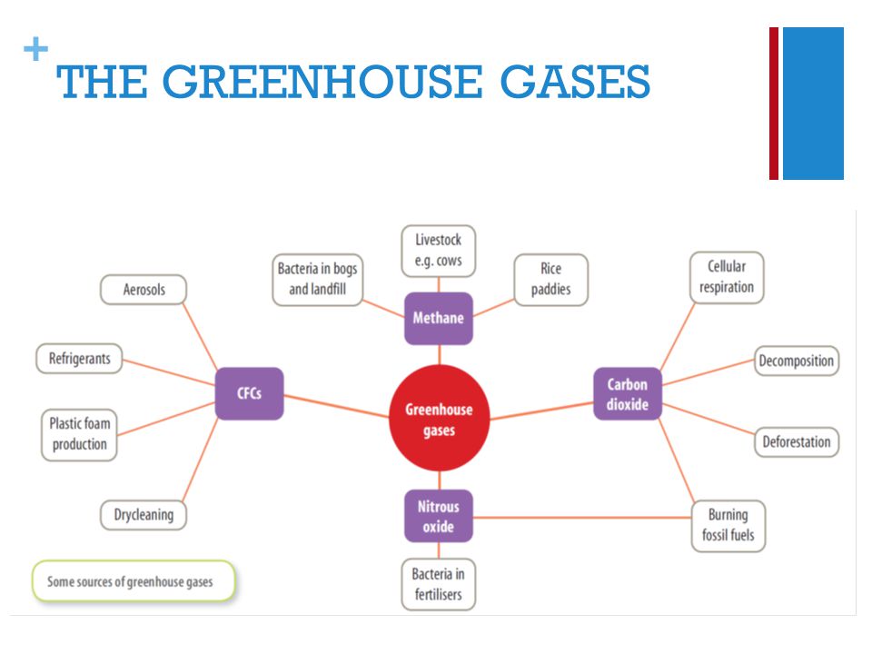 + THE GREENHOUSE GASES