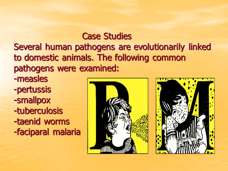 Case Studies Several human pathogens are evolutionarily linked to domestic animals.