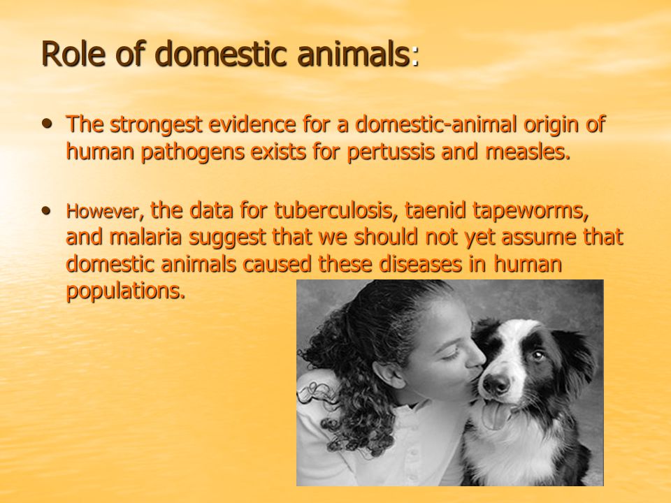 Role of domestic animals: The strongest evidence for a domestic-animal origin of human pathogens exists for pertussis and measles.