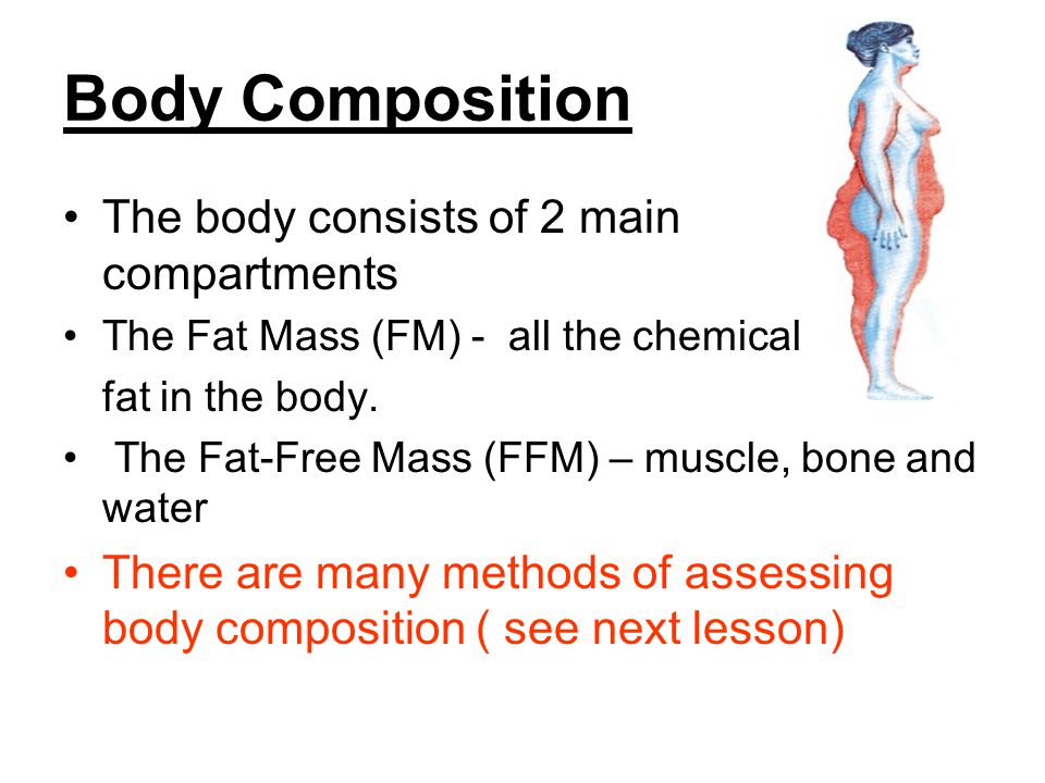 Body Composition The body consists of 2 main compartments The Fat Mass (FM) - all the chemical fat in the body.