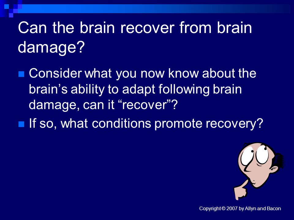 Copyright © 2007 by Allyn and Bacon Can the brain recover from brain damage.