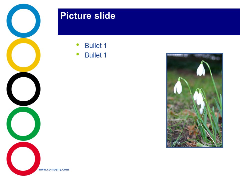 Picture slide Bullet 1