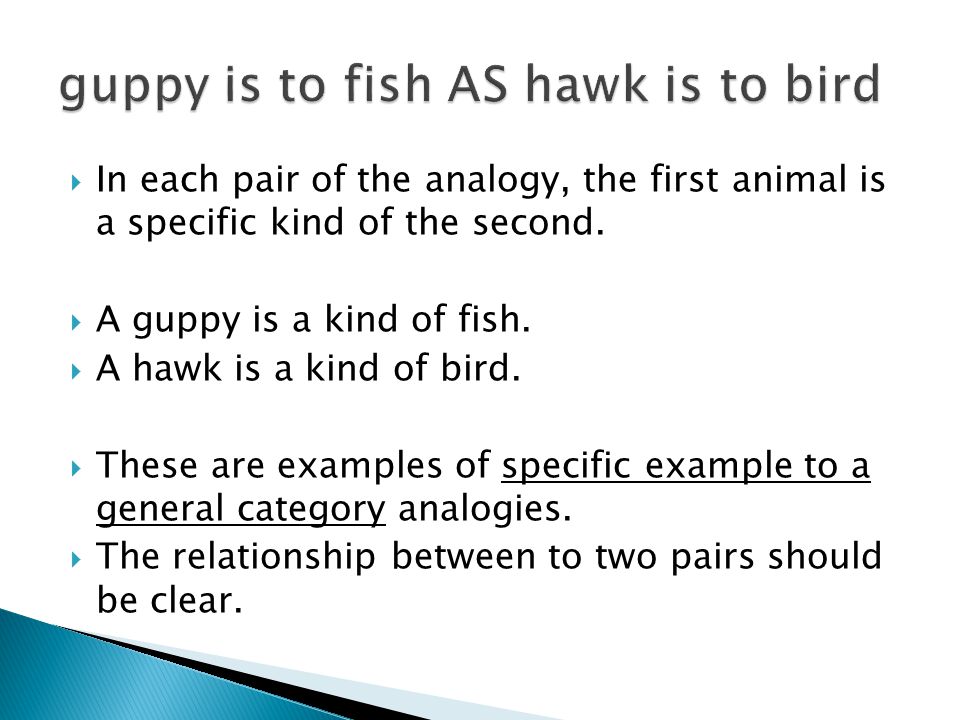  In each pair of the analogy, the first animal is a specific kind of the second.