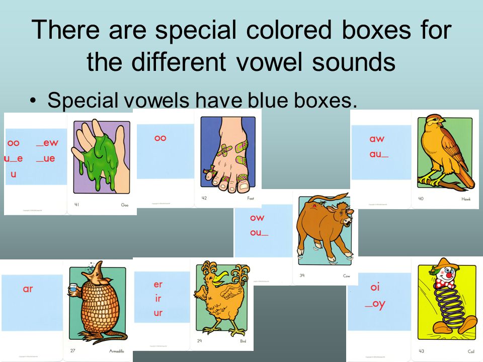 There are special colored boxes for the different vowel sounds Special vowels have blue boxes.