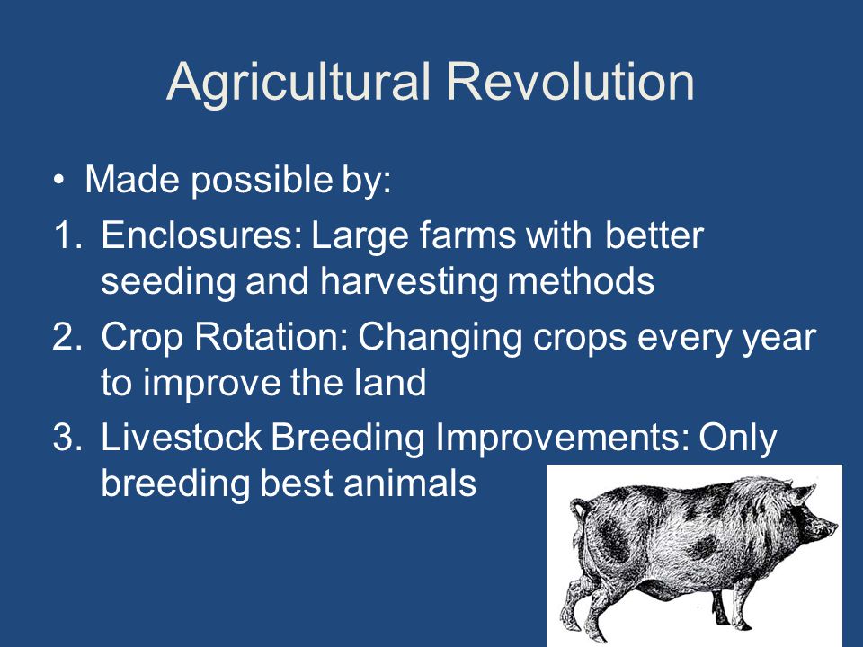 Agricultural Revolution Made possible by: 1.Enclosures: Large farms with better seeding and harvesting methods 2.Crop Rotation: Changing crops every year to improve the land 3.Livestock Breeding Improvements: Only breeding best animals