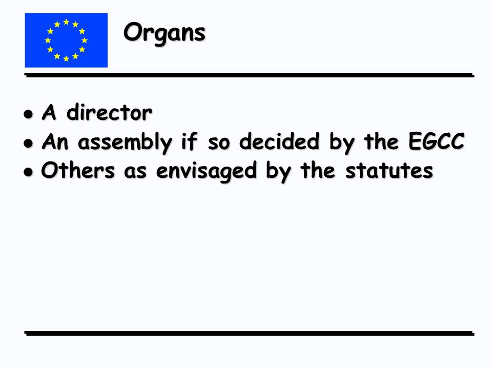 Organs l A director l An assembly if so decided by the EGCC l Others as envisaged by the statutes
