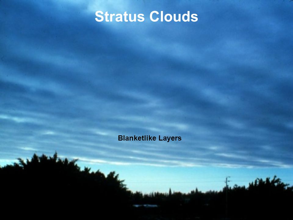 Stratus Clouds Blanketlike Layers
