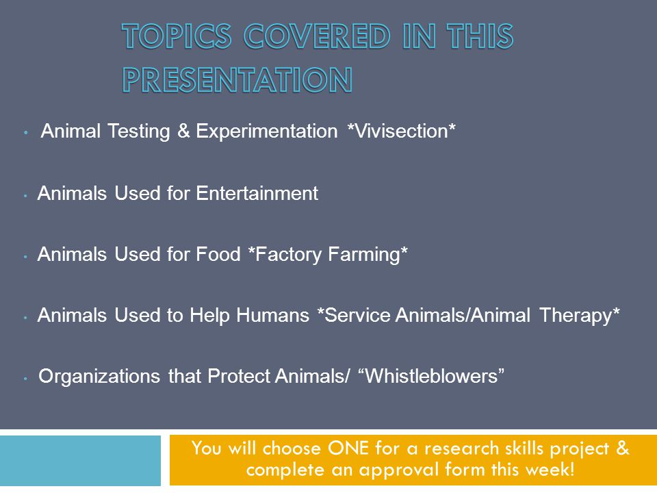 animal testing research paper topics