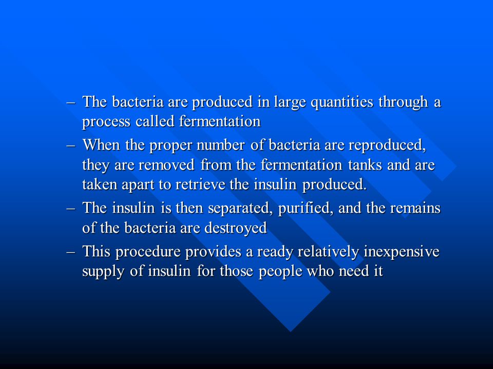 –The bacteria are produced in large quantities through a process called fermentation –When the proper number of bacteria are reproduced, they are removed from the fermentation tanks and are taken apart to retrieve the insulin produced.