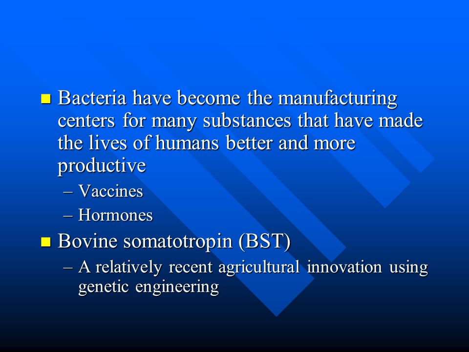 Bacteria have become the manufacturing centers for many substances that have made the lives of humans better and more productive Bacteria have become the manufacturing centers for many substances that have made the lives of humans better and more productive –Vaccines –Hormones Bovine somatotropin (BST) Bovine somatotropin (BST) –A relatively recent agricultural innovation using genetic engineering