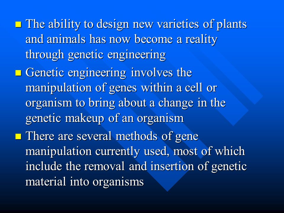 The ability to design new varieties of plants and animals has now become a reality through genetic engineering The ability to design new varieties of plants and animals has now become a reality through genetic engineering Genetic engineering involves the manipulation of genes within a cell or organism to bring about a change in the genetic makeup of an organism Genetic engineering involves the manipulation of genes within a cell or organism to bring about a change in the genetic makeup of an organism There are several methods of gene manipulation currently used, most of which include the removal and insertion of genetic material into organisms There are several methods of gene manipulation currently used, most of which include the removal and insertion of genetic material into organisms