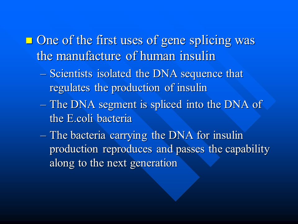 One of the first uses of gene splicing was the manufacture of human insulin One of the first uses of gene splicing was the manufacture of human insulin –Scientists isolated the DNA sequence that regulates the production of insulin –The DNA segment is spliced into the DNA of the E.coli bacteria –The bacteria carrying the DNA for insulin production reproduces and passes the capability along to the next generation