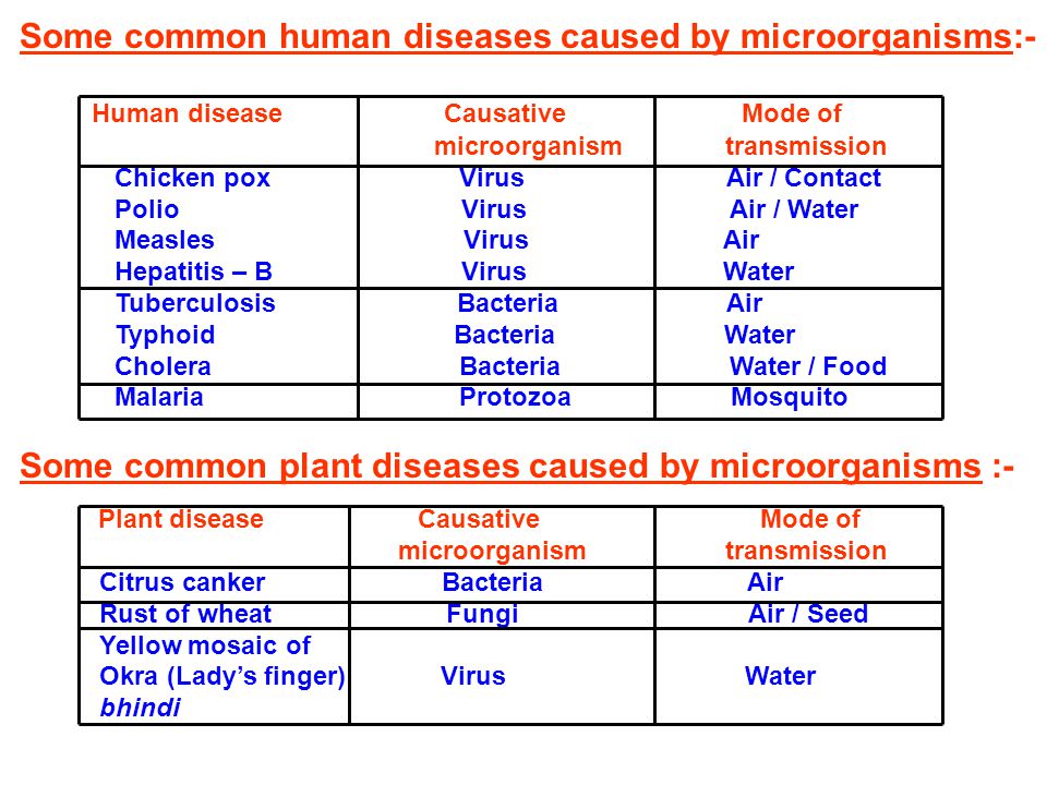CHAPTER - 2 MICROORGANISMS : FRIEND AND FOE. 1) Microorganisms (Microbes)  :- i) Microorganisms are very small organisms which cannot be seen with  the. - ppt download