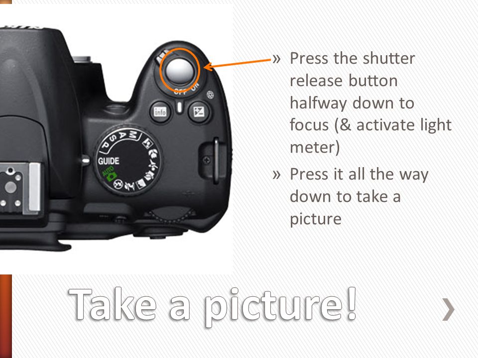 » Press the shutter release button halfway down to focus (& activate light meter) » Press it all the way down to take a picture