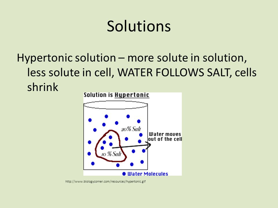 Solutions Hypertonic solution – more solute in solution, less solute in cell, WATER FOLLOWS SALT, cells shrink