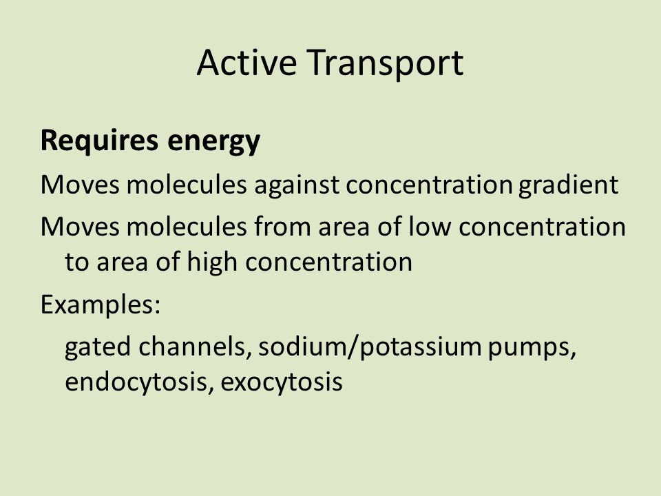 Active Transport Requires energy Moves molecules against concentration gradient Moves molecules from area of low concentration to area of high concentration Examples: gated channels, sodium/potassium pumps, endocytosis, exocytosis