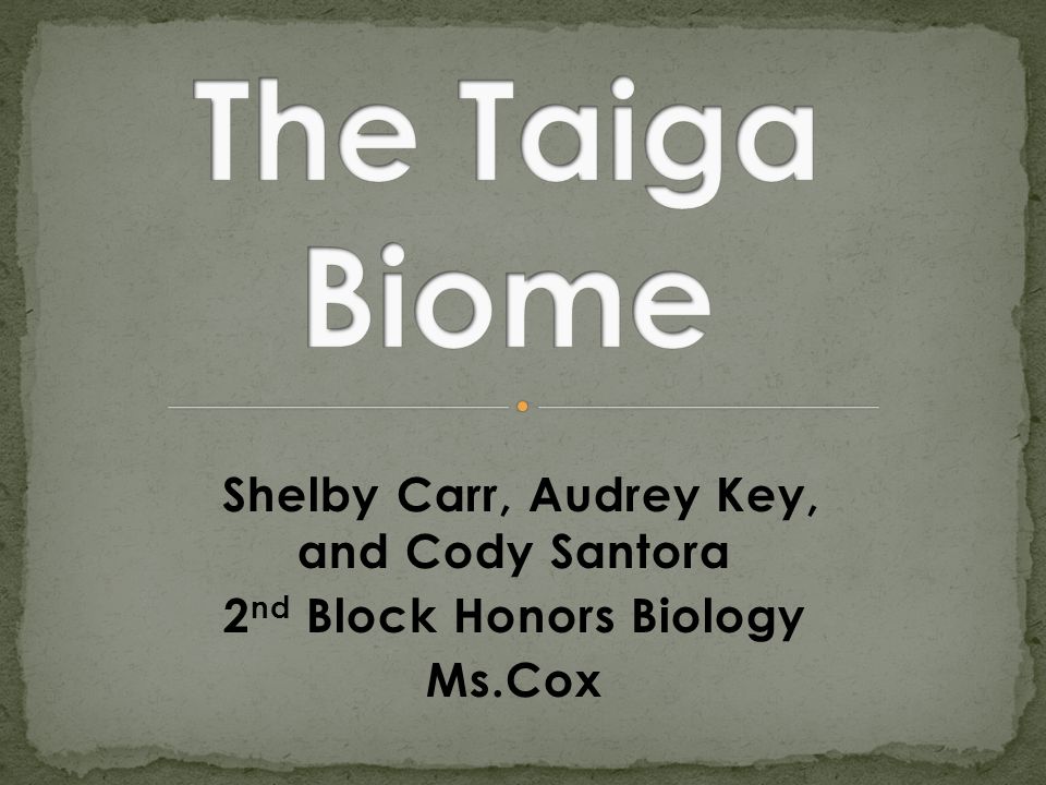 Shelby Carr, Audrey Key, and Cody Santora 2 nd Block Honors Biology Ms.Cox