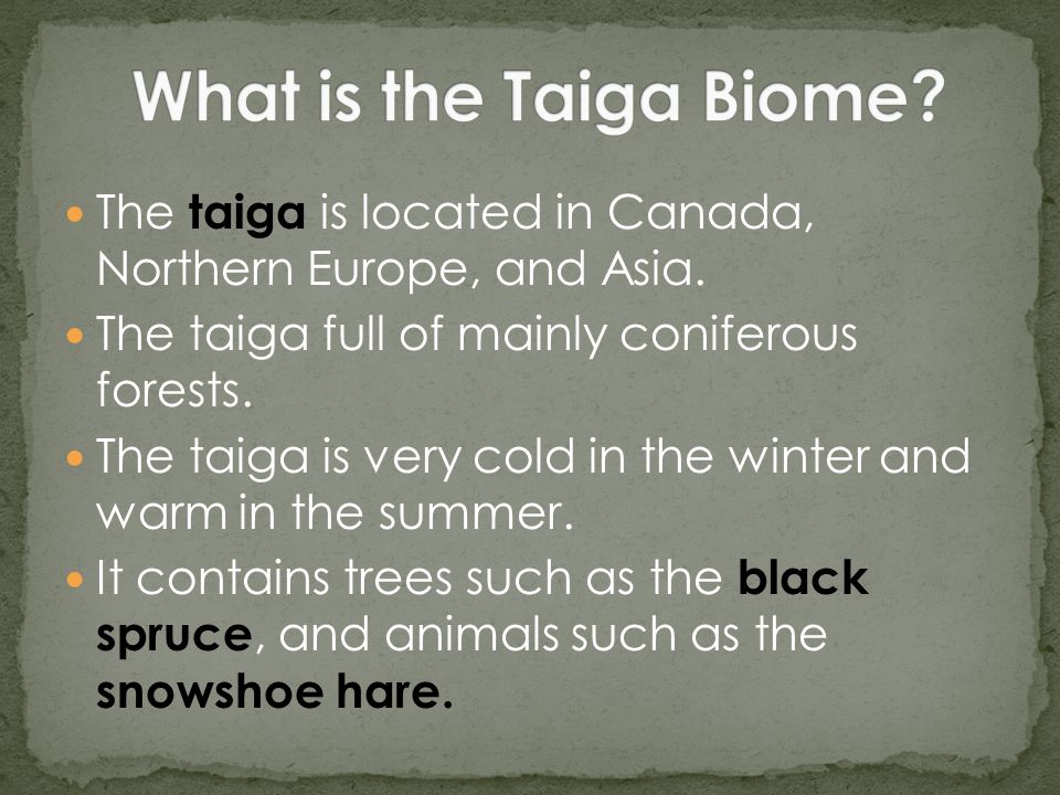 The taiga is located in Canada, Northern Europe, and Asia.