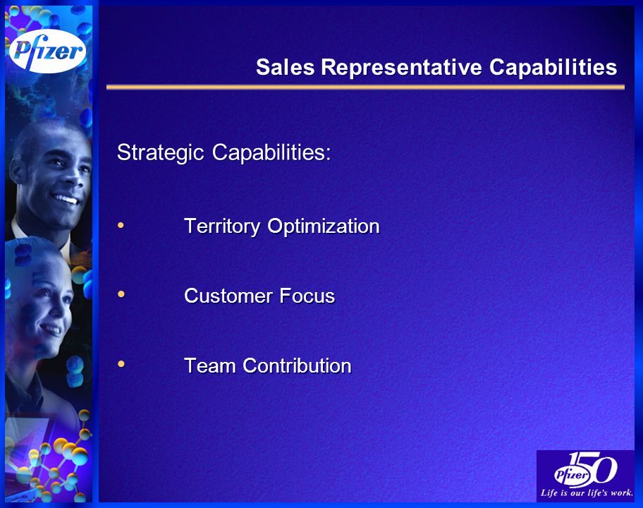 Sales Representative Capabilities Strategic Capabilities: Territory Optimization Customer Focus Team Contribution Strategic Capabilities: Territory Optimization Customer Focus Team Contribution