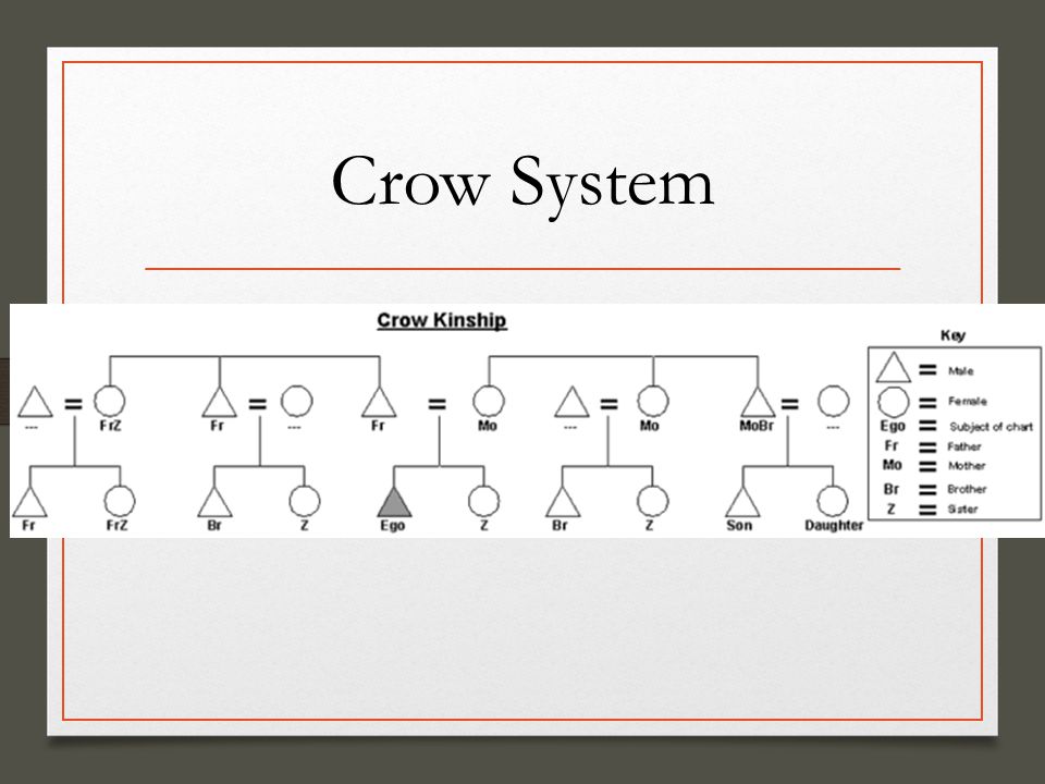 Crow Kinship Chart