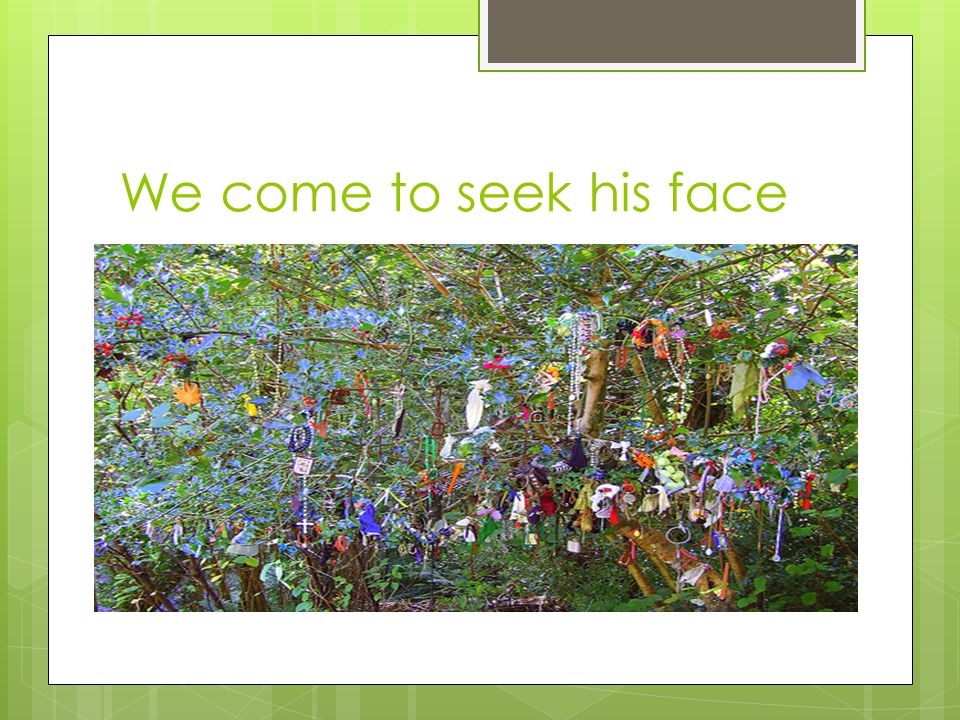 We come to seek his face